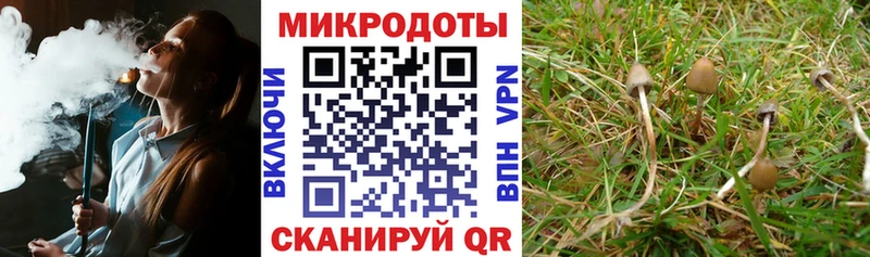 Псилоцибиновые грибы GOLDEN TEACHER  Яблоновский 
